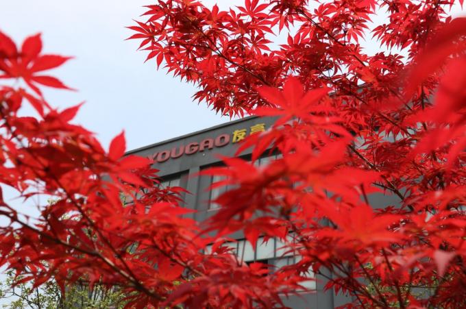 China Hefei Luox Yougao Technology Co., Ltd. Perfil da companhia 2