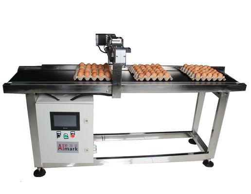 E5 400W X Traverse System Egg Coding Conveyor Machine para codificação de data